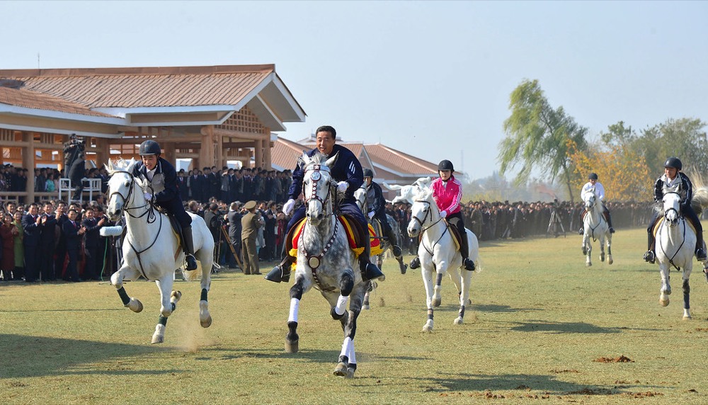 Imagem ilustrativa de Desporto Equestre